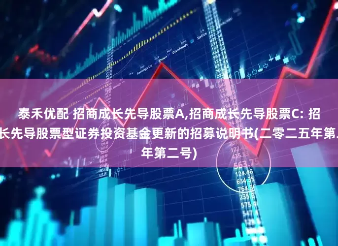 泰禾优配 招商成长先导股票A,招商成长先导股票C: 招商成长先导股票型证券投资基金更新的招募说明书(二零二五年第二号)